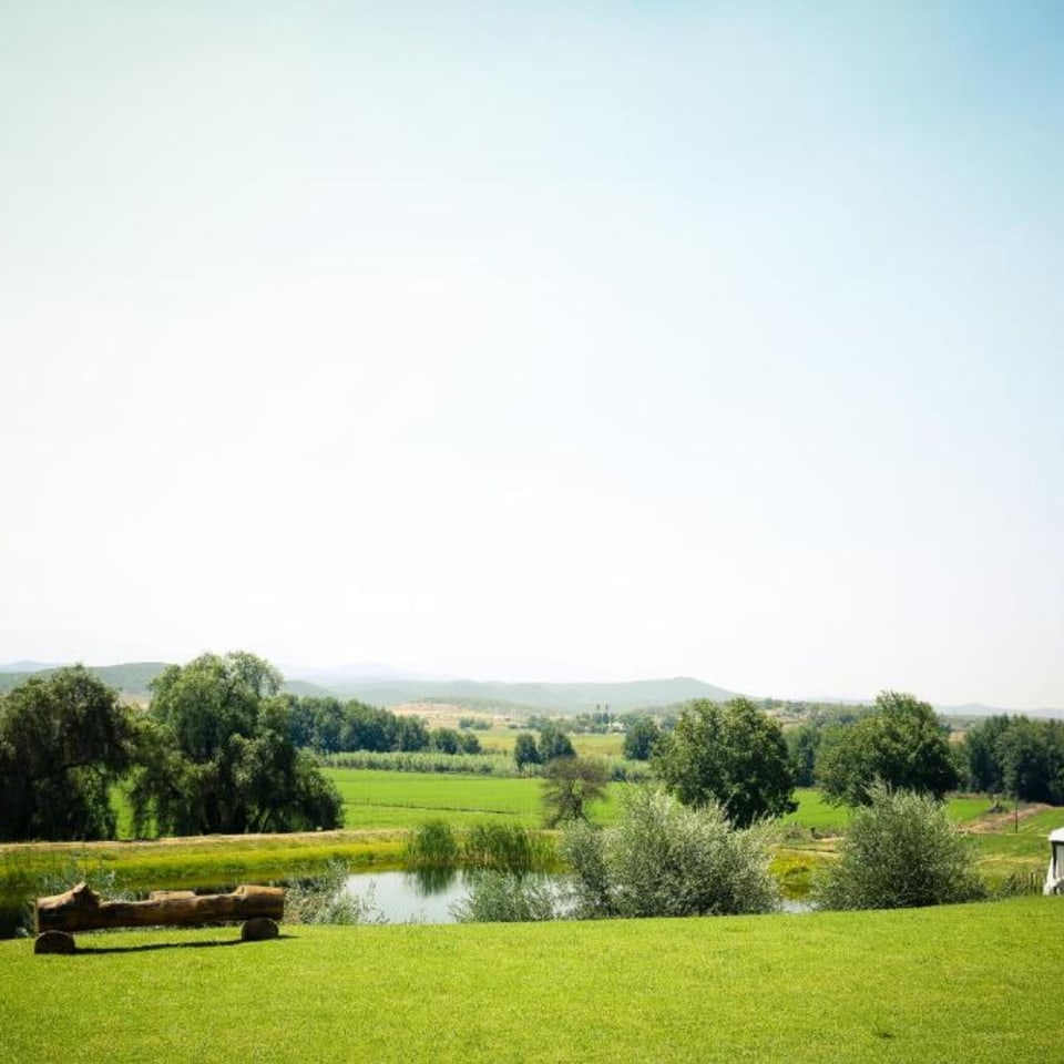 Surval Boutique Olive Estate